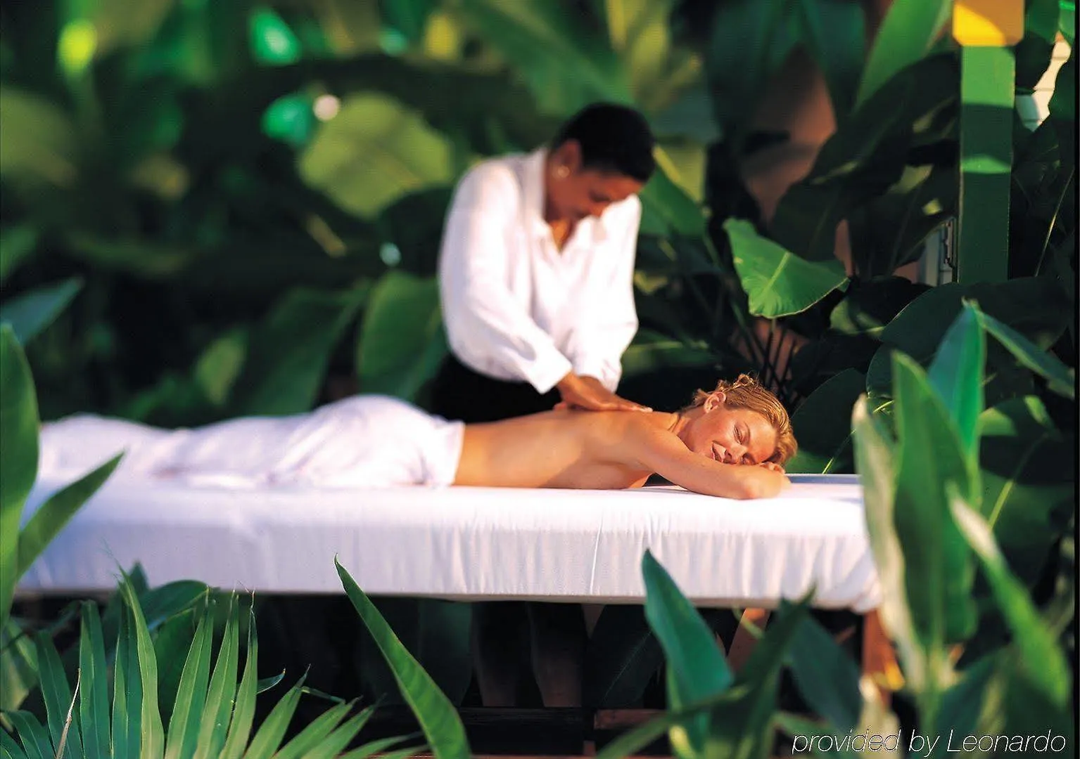 Hedonism II All Inclusive Resort (Adults Only) Negril