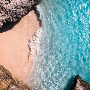 https://palm-beach-paradise-vacation-rental.comcaribbean.com